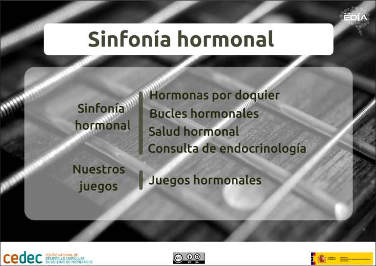 CeDeC_intef's tweet photo. REA "Sinfonía hormonal”. Diseño de un juego relacionado con los temas trabajados, anatomía, fisiología y temas de salud. #proyectoEDIA! #REA #secundaria #biología https://t.co/ACwzNepO2m https://t.co/xjDSdalVdv