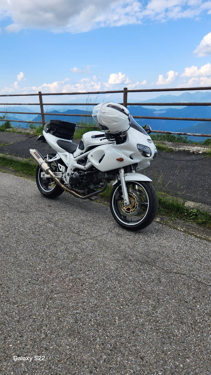 kimurafuck's tweet image. 【令和最新版】
オレの&quot;竜&quot;たち