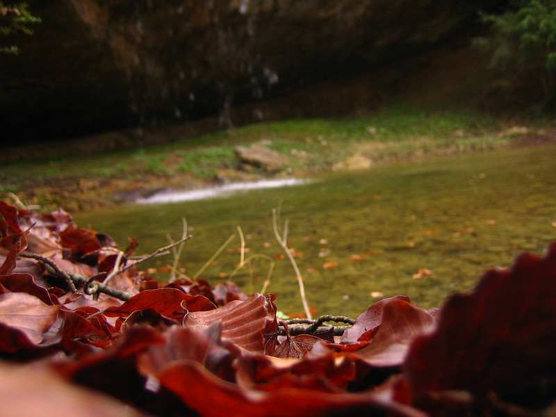 🍂 Aquest vespre, a les 20.19 h, comença la tardor astronòmica, que s’allargarà fins al 21 de desembre.

🕝 Temps de pluges, bolets i de canvi horari, que enguany tindrà lloc el 26 d’octubre.

Consulta'n la predicció 👉 gen.cat/predicciomensu…