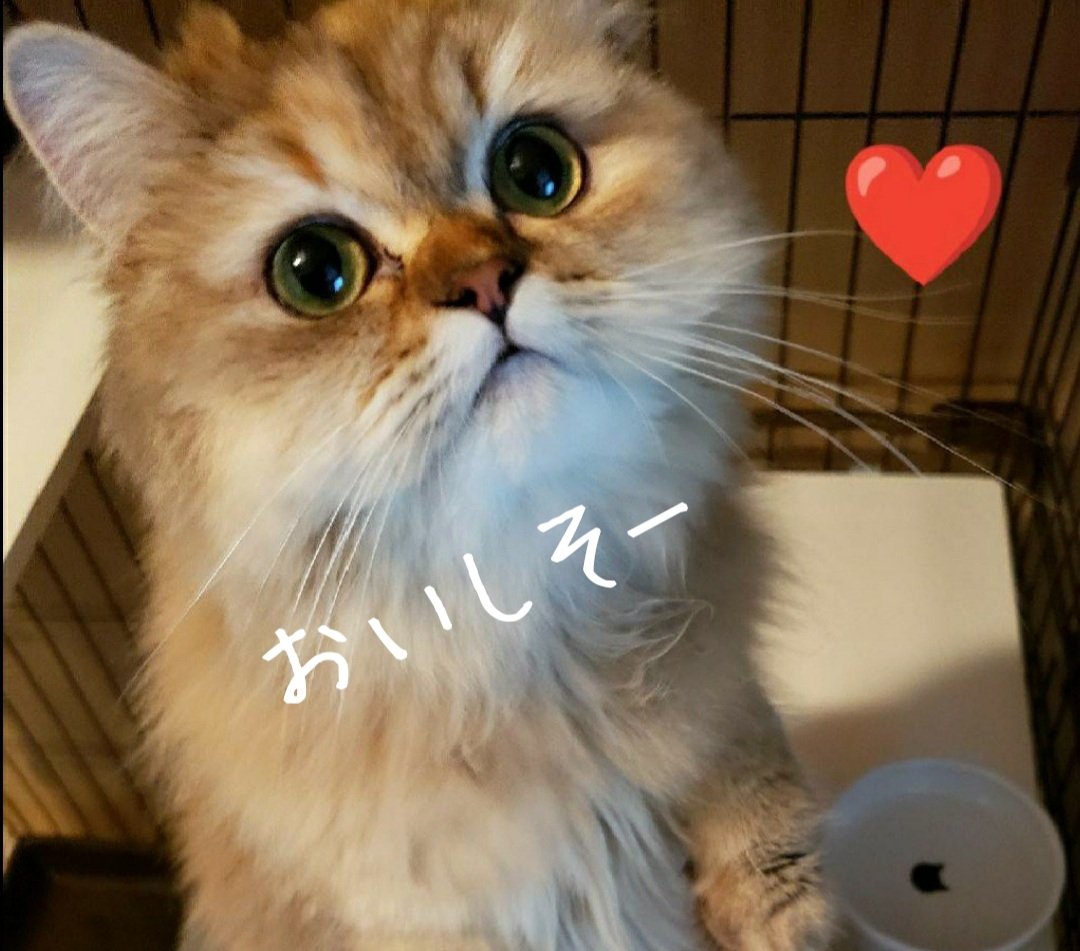 payitforward (@7payitforward) / Posts / X