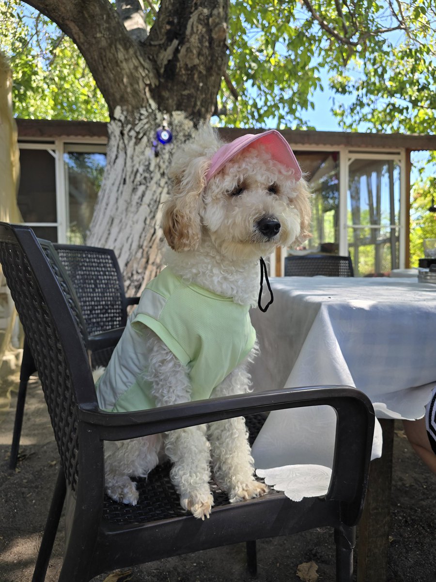 Herkes tatilde kilo alır; biz Vega’yı kovalarken zayıflıyoruz. Demek ki bizim tatil bir tür Sparta eğitimi.