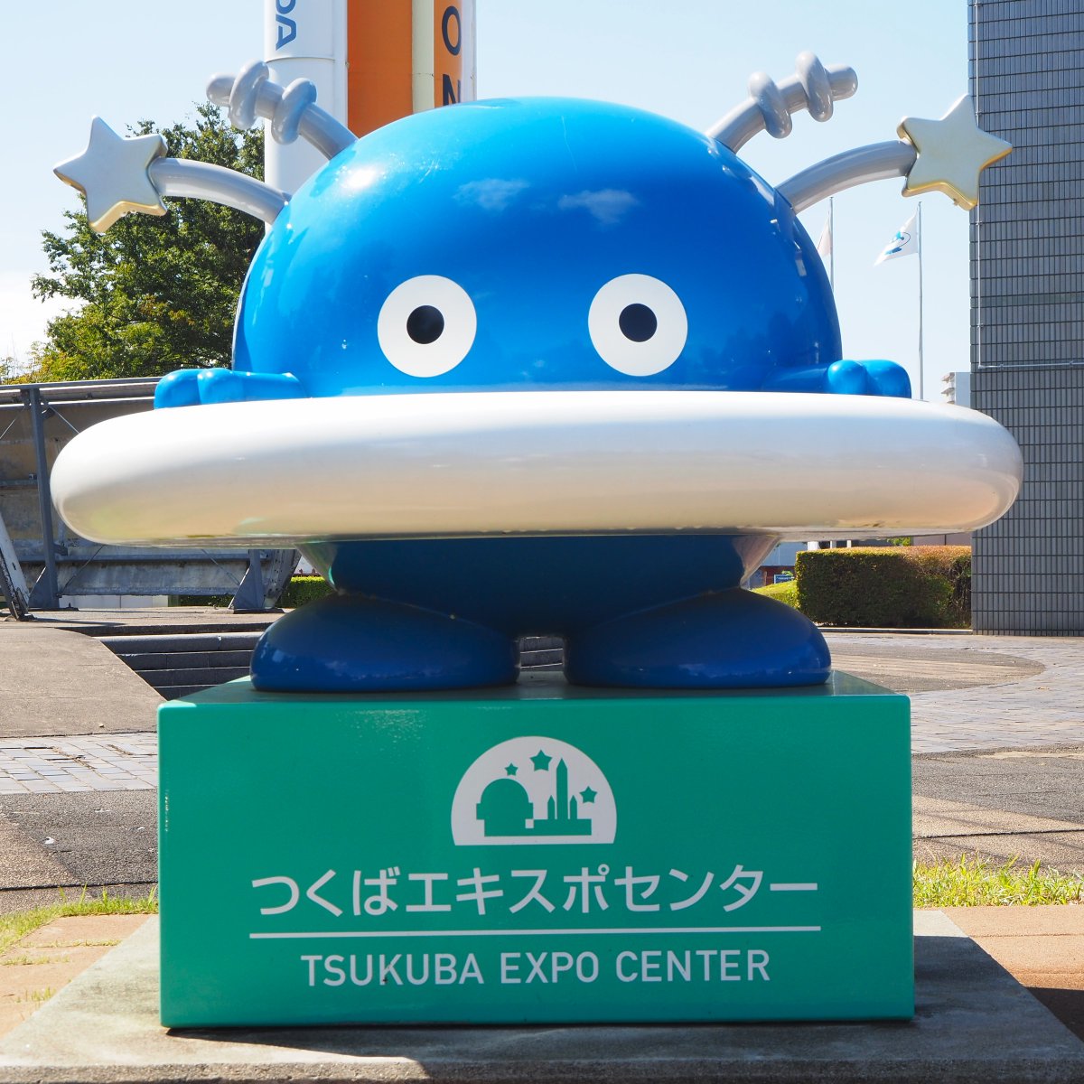てくてくさんぽです！ Amazon.co.jp: [バンダイ(BANDAI)] シナぷしゅ 英語もしゃべるよ
