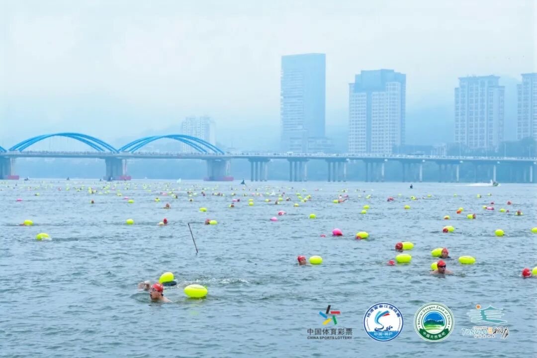 TongluFeel's tweet image. The swimmers took on the beautiful Fuchun River in #Tonglu’s Fuchun River #SwimmingChallenge! 🌊🏊 The event has now concluded, but the memories of their amazing feats remain. 👏Would you have the courage to attempt a long - distance swim like they did? #TongluSports