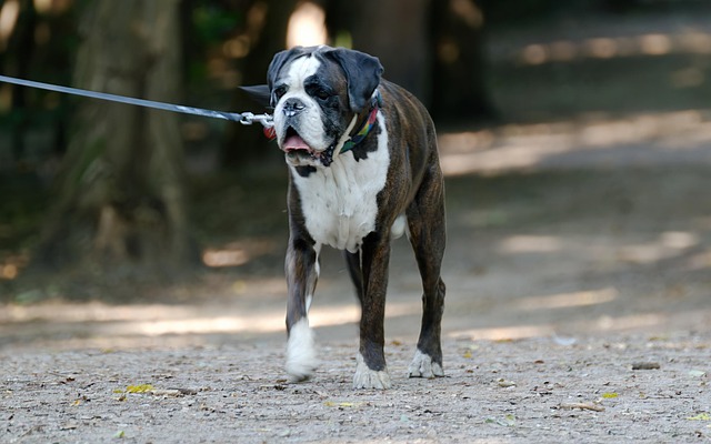 HuongHo90371833's tweet image. The report is about analyzing the market trends and offering recommendations to improve our competitiveness, and increase profits of the company.

#SmartSolutionsForGrowth