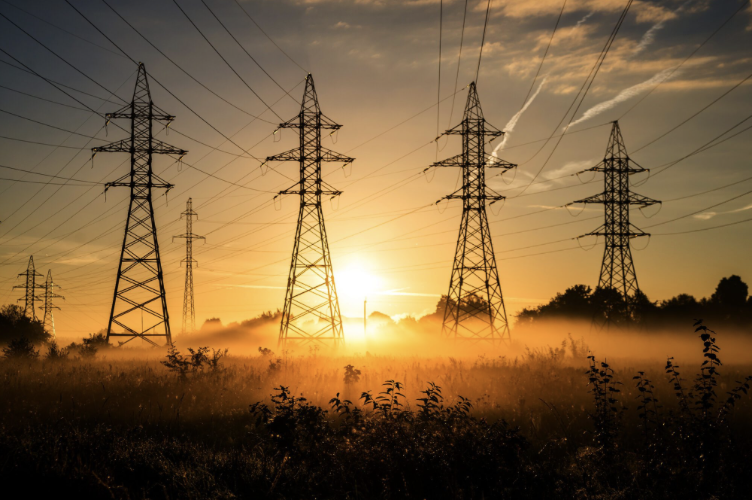 LnprCapital's tweet image. &quot;India’s Transmission Titans: Top 11 Companies Hold a Massive ₹1.46 Lakh Cr Order Book! ⚡ Hitachi Energy, Kalpataru, KEC &amp;amp; more powering the nation’s grid expansion. #PowerSector #EPC #Transmission&quot;
🔹 Hitachi Energy India – order book ₹29,135 Cr
🟠 Market leader in…