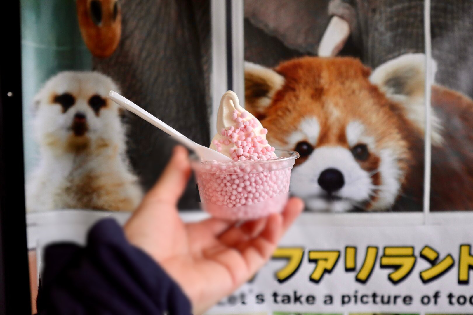 【レッサーパンダ】【2点まとめ】 Publicacions amb respostes de l'usuari由 (@nbXbBrR08MvJeKF) / X