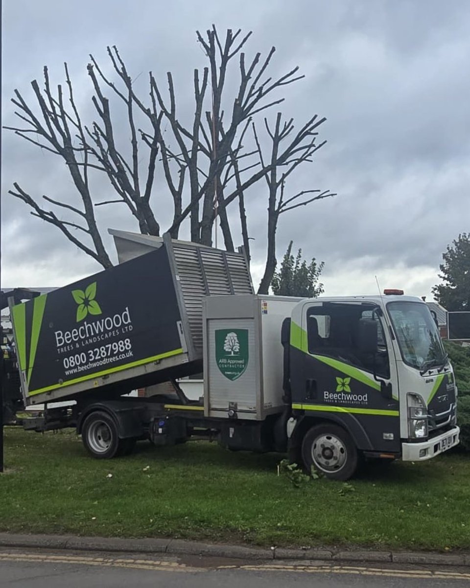BossBeechwood's tweet image. Pollarding in progress 🌳✨ Phil and Team 6 taking this tree back to 4–5m — balancing safety, structure, and future growth. 
#BeechwoodTeam #TreeSurgery #Pollarding