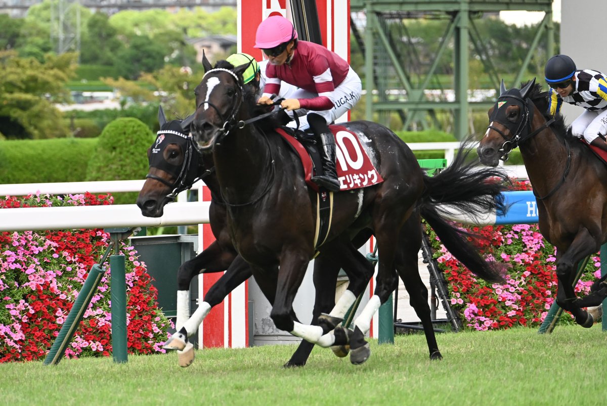 馬上の人 Azuma - DEFICIENCY MOTORCYCLE Jacket | HAZE