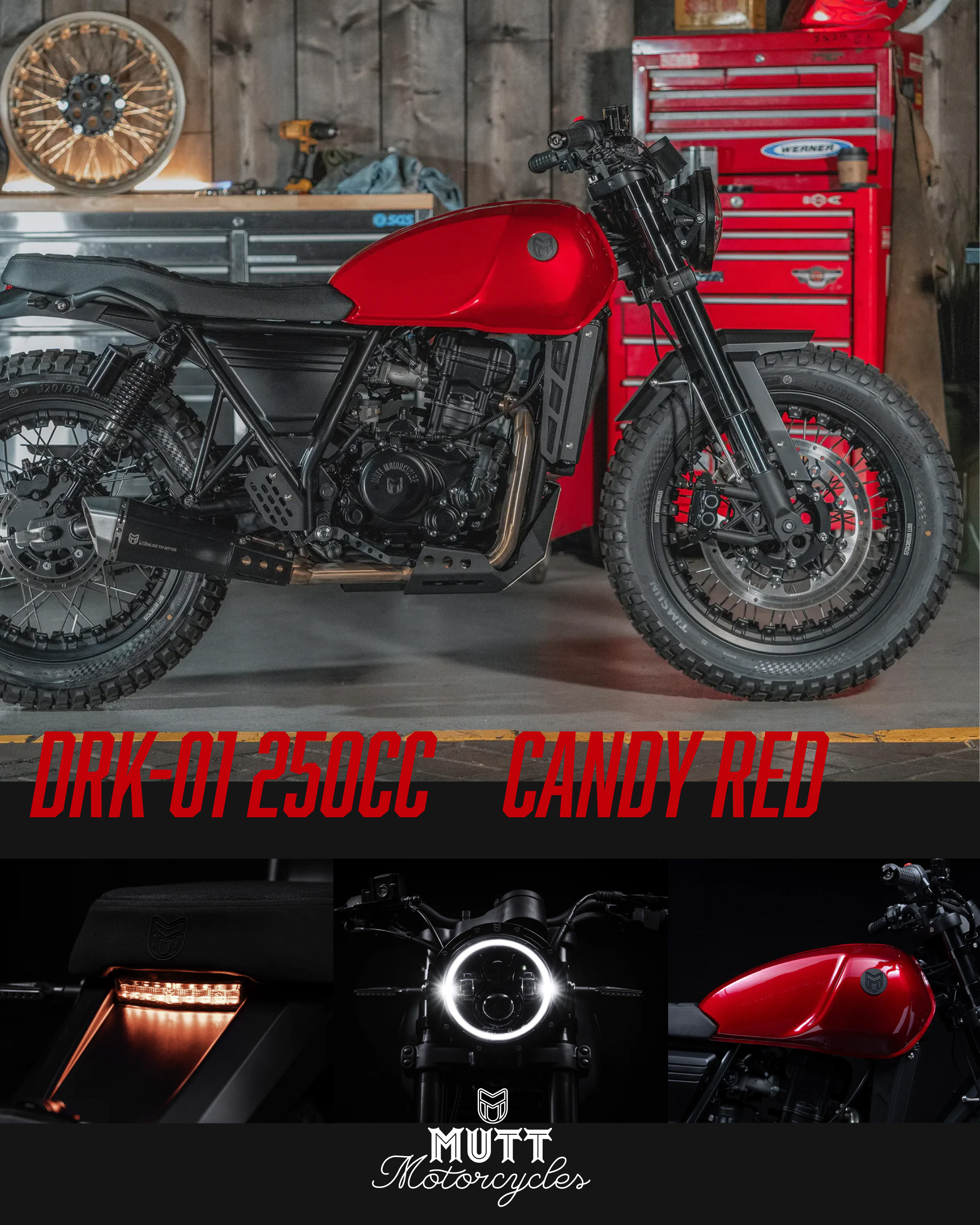 MUTT Tokyo Central (@MUTT_tyocentral) / X