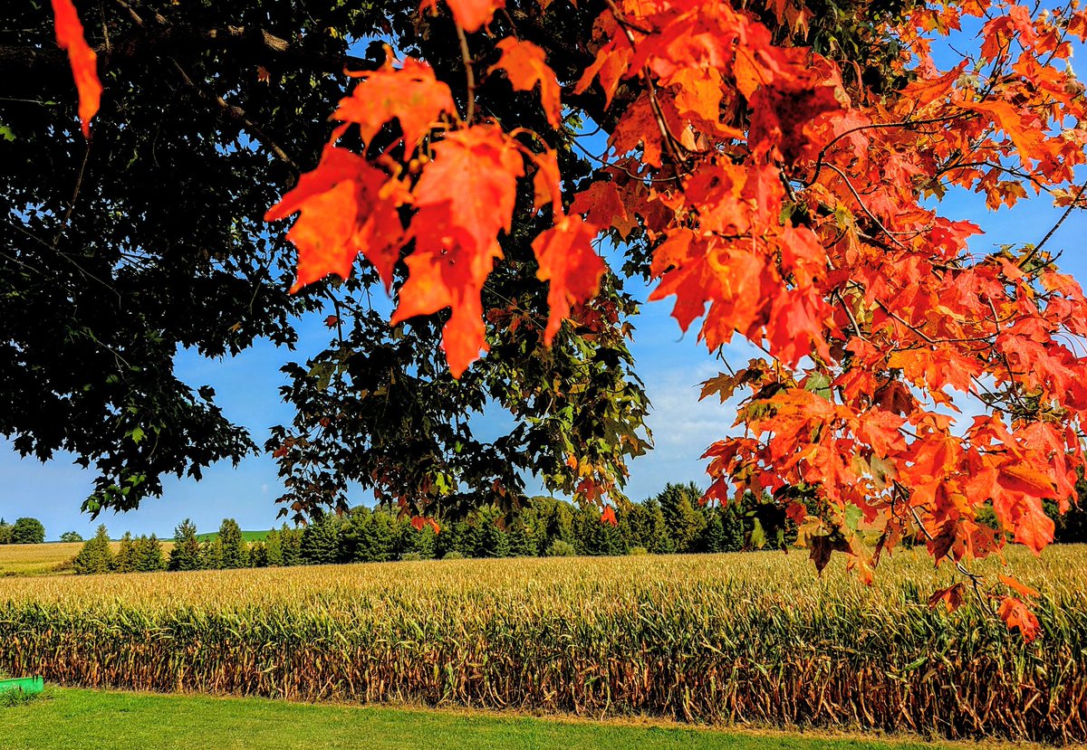 Have a great autumn,, thanks summer,, 
  All the best 👍😎☕☕