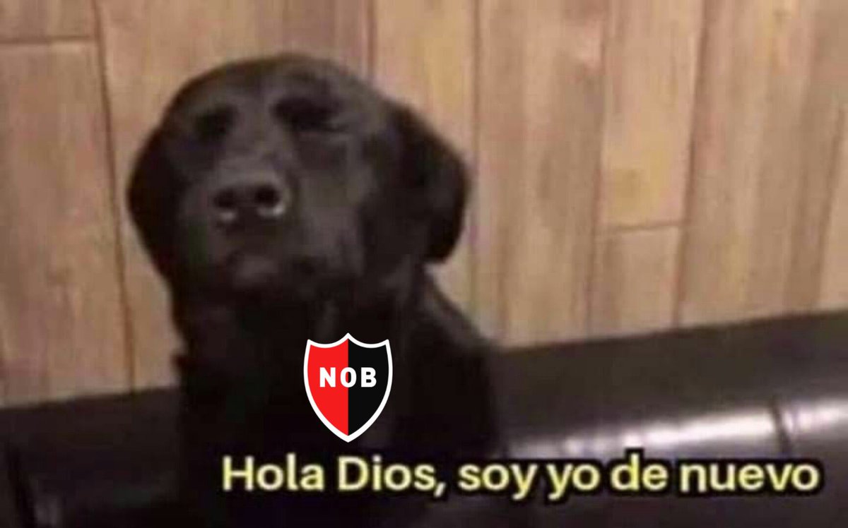 Hermann Brodbeck tweet media