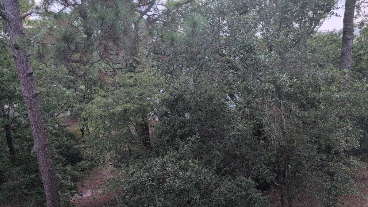 Binxyboy@homefornow tweet media