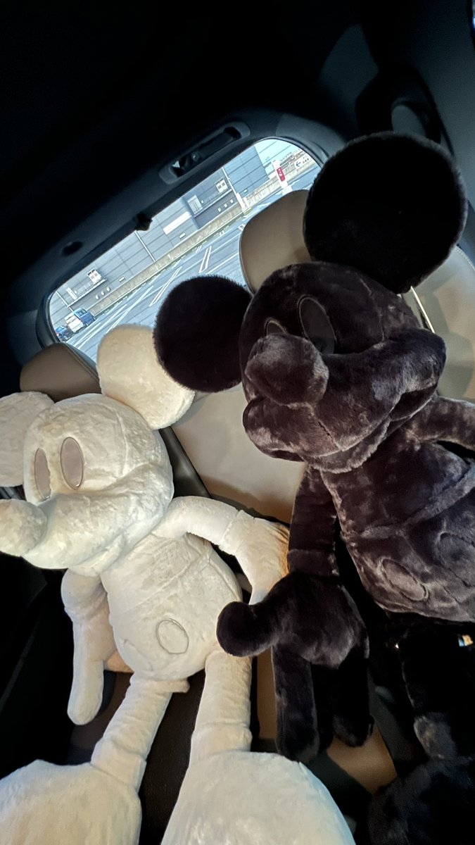 白と黒のmickeyが可愛すぎてドライブして家に連れて帰ってきた💕（ちゃんと買いました。w）
人間の子供よりでかい😂