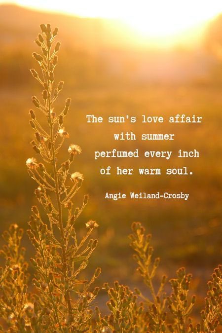 Amanda DeHaven💙🌾 (@peace4thevalley) on Twitter photo 