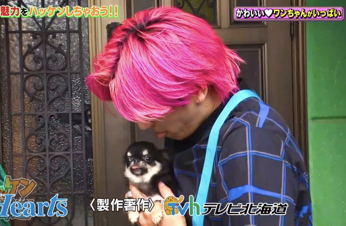 haru82371333's tweet image. 舌だしてチワワのまねする兼近さんかわいいw
#EXITのハッケン北海道  #かねちー  #兼近大樹