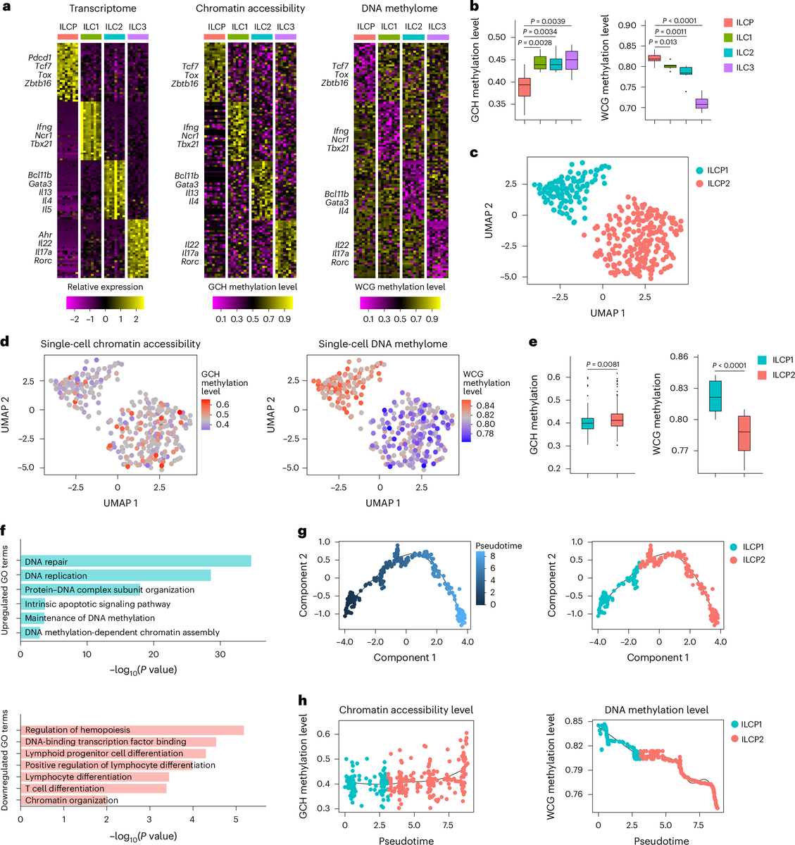 EpigenomeTech's tweet photo. Epigenetics Update - Epigenetic imprinting in innate lymphoid cell precursors directs the lineage segregation of innate lymphoid cells https://t.co/Bj99LQN5pM
#Epigenetics #Imprinting #Immunity
---
Discover the breakthrough at https://t.co/WmSYDGXnzb https://t.co/ZBJ8CDUfuC