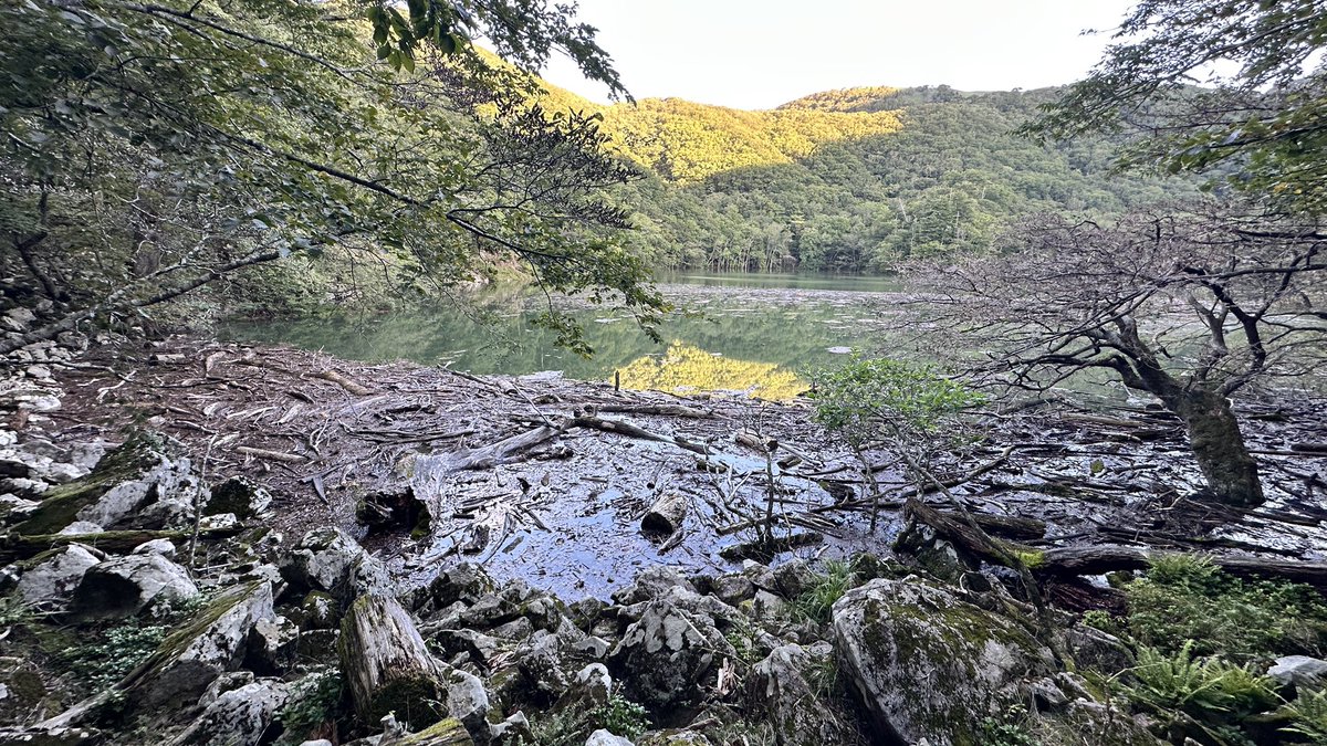 豊似湖増水