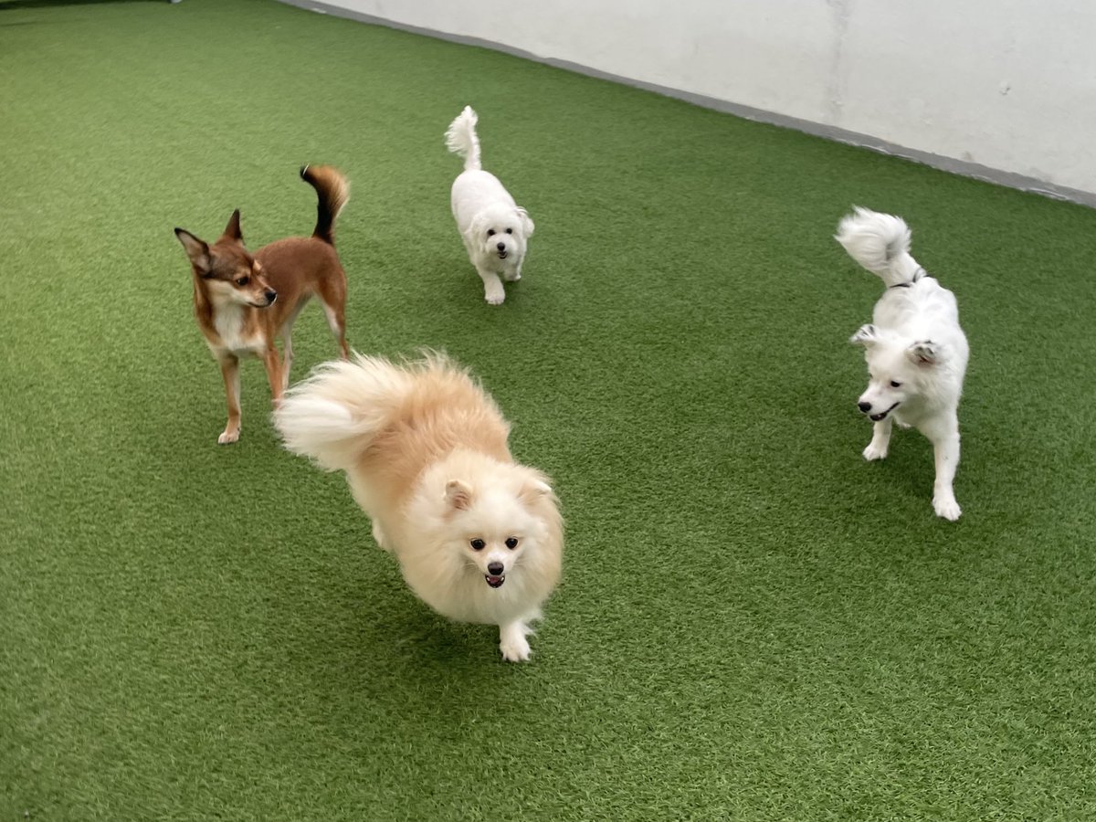 버스에서 설이 오늘 유치원에서 뭐했는지 사진보다가 질질짜는중...

사실 설이가 여러 차례 크고 작은 이슈를 겪으면서 유치원에 다니더라도 친구들이랑 부딪히면서 뛰어노는건 정말 기대 하나도 안했거든요

설이의 회복탄력성을 믿지 않았던 미련한 보호자는 눈물이 나요 (줄줄줄