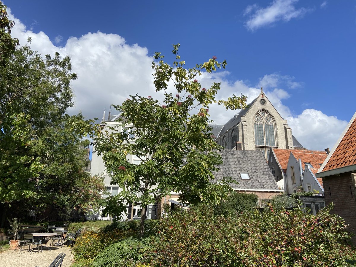 Eduard AJ Groen tweet media