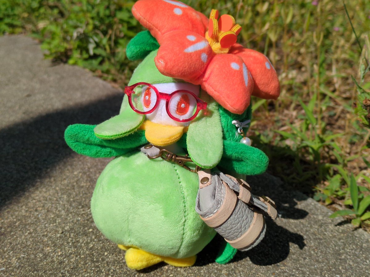 グラスちゃんのヒミツ①
ご機嫌な時は腕を広げてお散歩する☺️