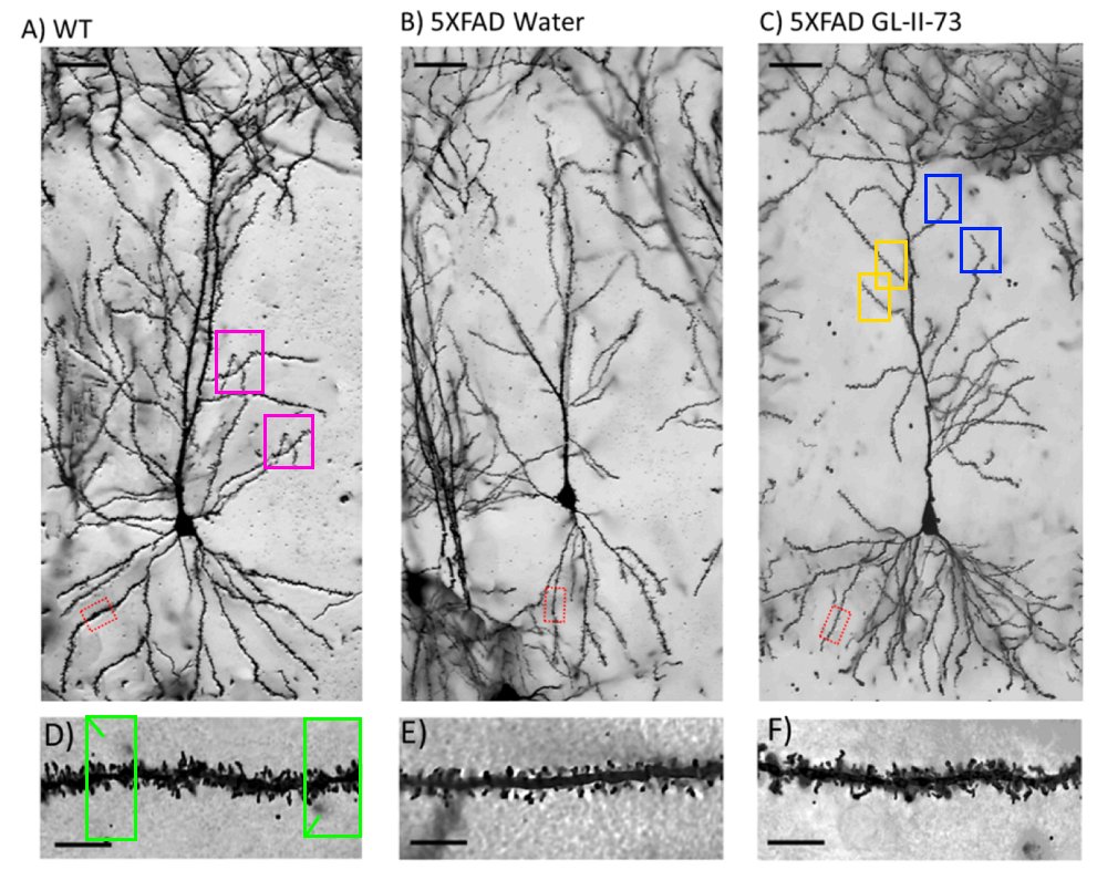 Sholto David tweet media