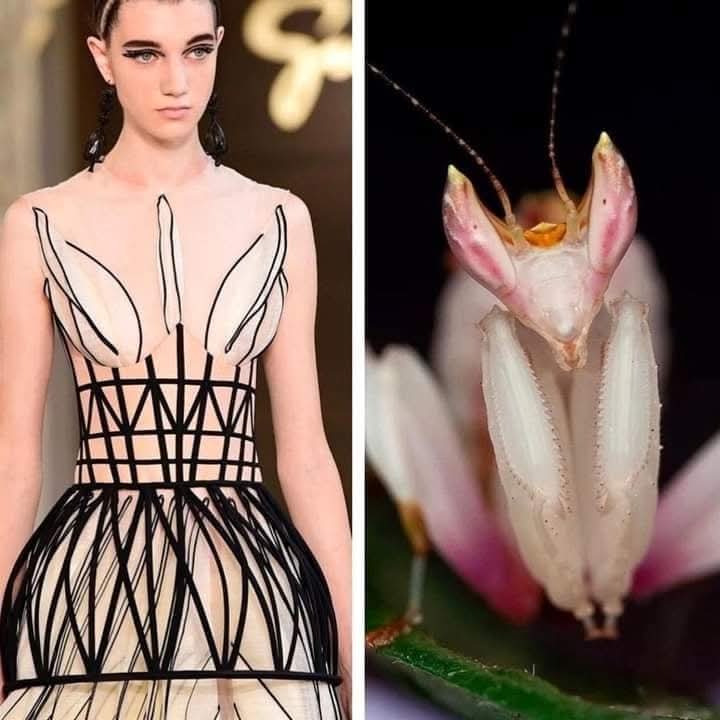 (Cianci Ulises) (@cianciulises) on Twitter photo 