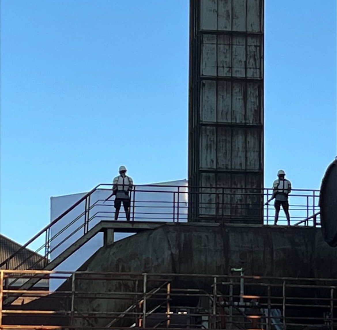 kimi 🥝 tweet media