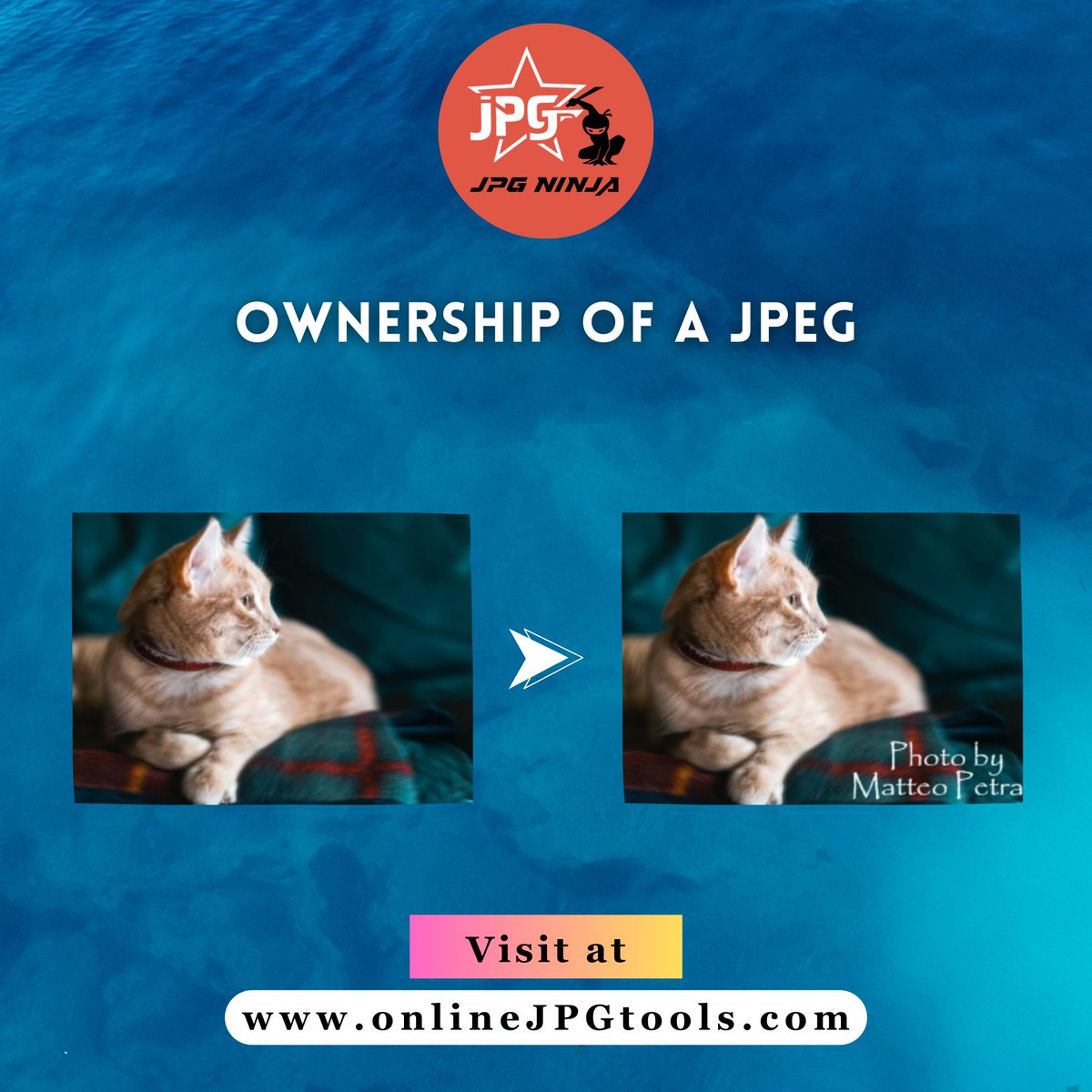 jpgninja2024's tweet image. In this example, we add the author&apos;s watermark to a cat JPEG photo.  

Try our Tool: onlinejpgtools.com/watermark-jpg 

#browserling #watermark #imageprotection #contentsecurity #digitalrights #photography #branding #creatorsupport #visualidentity