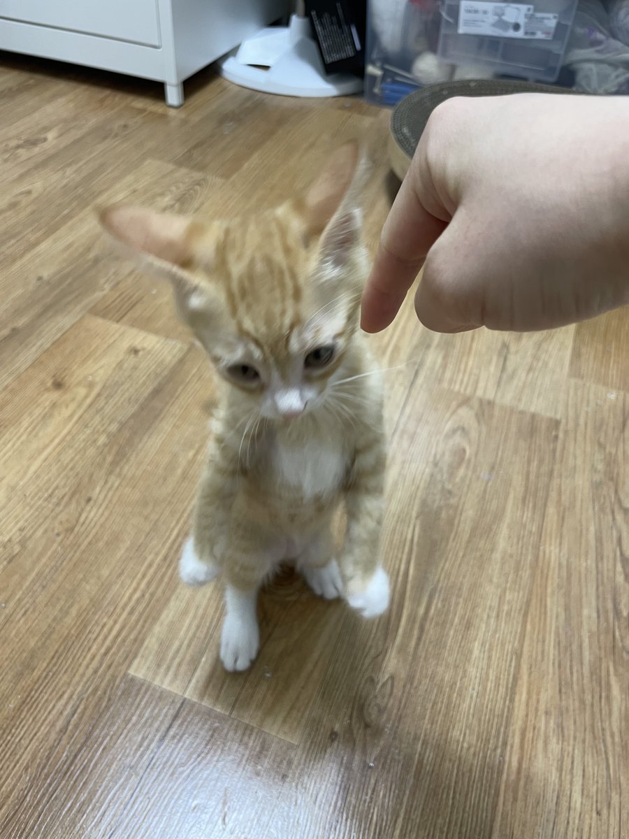 말 들을 거야 안 들을 거야