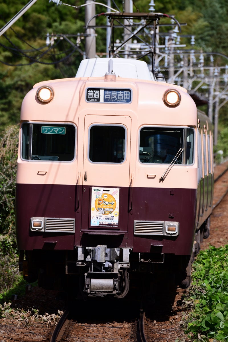 しっぴき on X: 