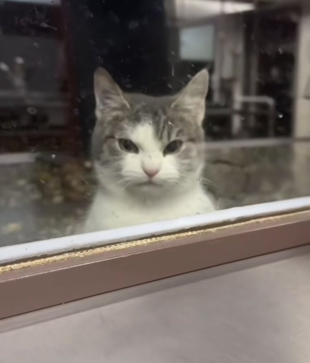 greekphase's tweet image. #γλύκανε_μωρε_λιγο_challenge