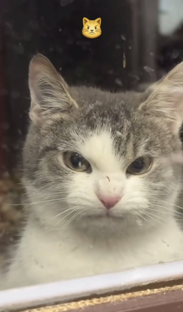 greekphase's tweet image. #γλύκανε_μωρε_λιγο_challenge