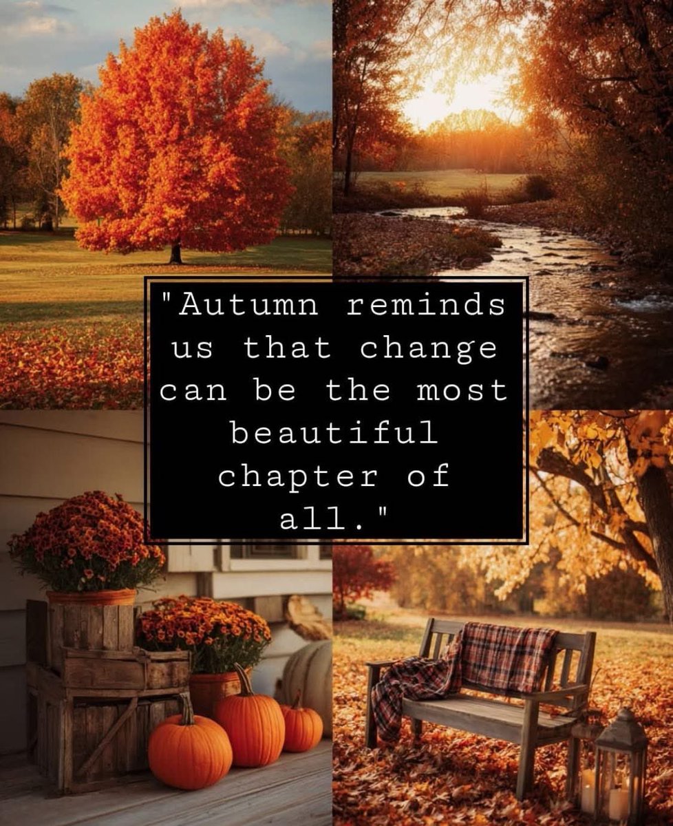 Amy Hatcher (@amyhatcher222) on Twitter photo 