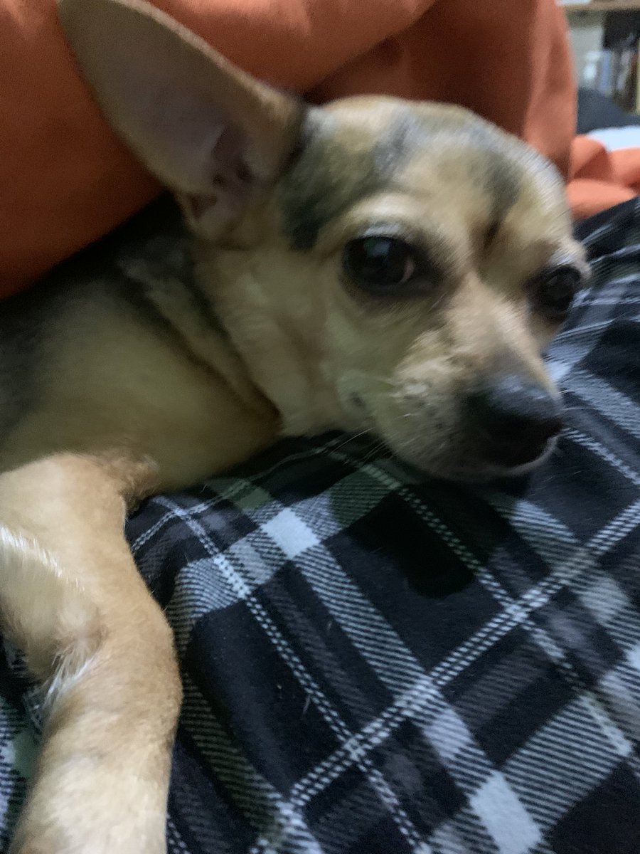 Bonjour à mes amis!!

Poderoso y muy virtuoso inicio de semana para todos ustedes, que sea muy, muy provechosa!

Carpe Diem 🍀🍀🍀