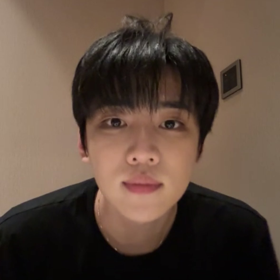 부더기 tweet media