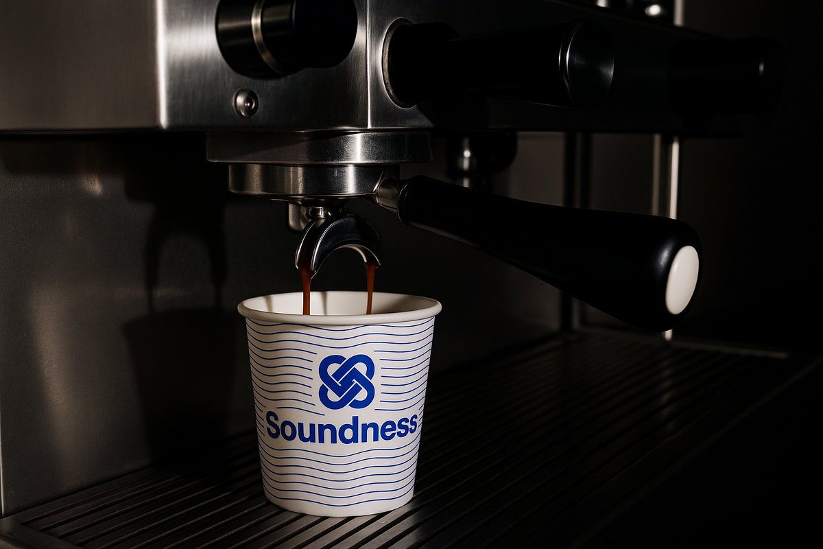 Soundness tweet media