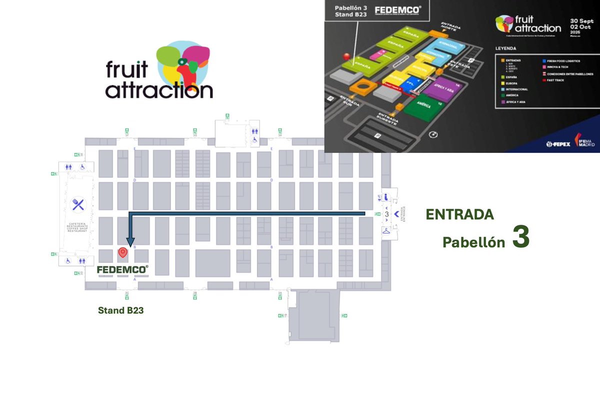 🌍 Este 30 de sept., volvemos al evento clave de la industria hortofrutícola: <a href="/FruitAttraction/">Fruit Attraction</a> 2025.
Ven y descubre cómo nuestras empresas asociadas impulsan soluciones sostenibles, seguras y naturales para el envasado de frutas y hortalizas🪵🍐¡Os esperamos!📍Pabellón 3-23B