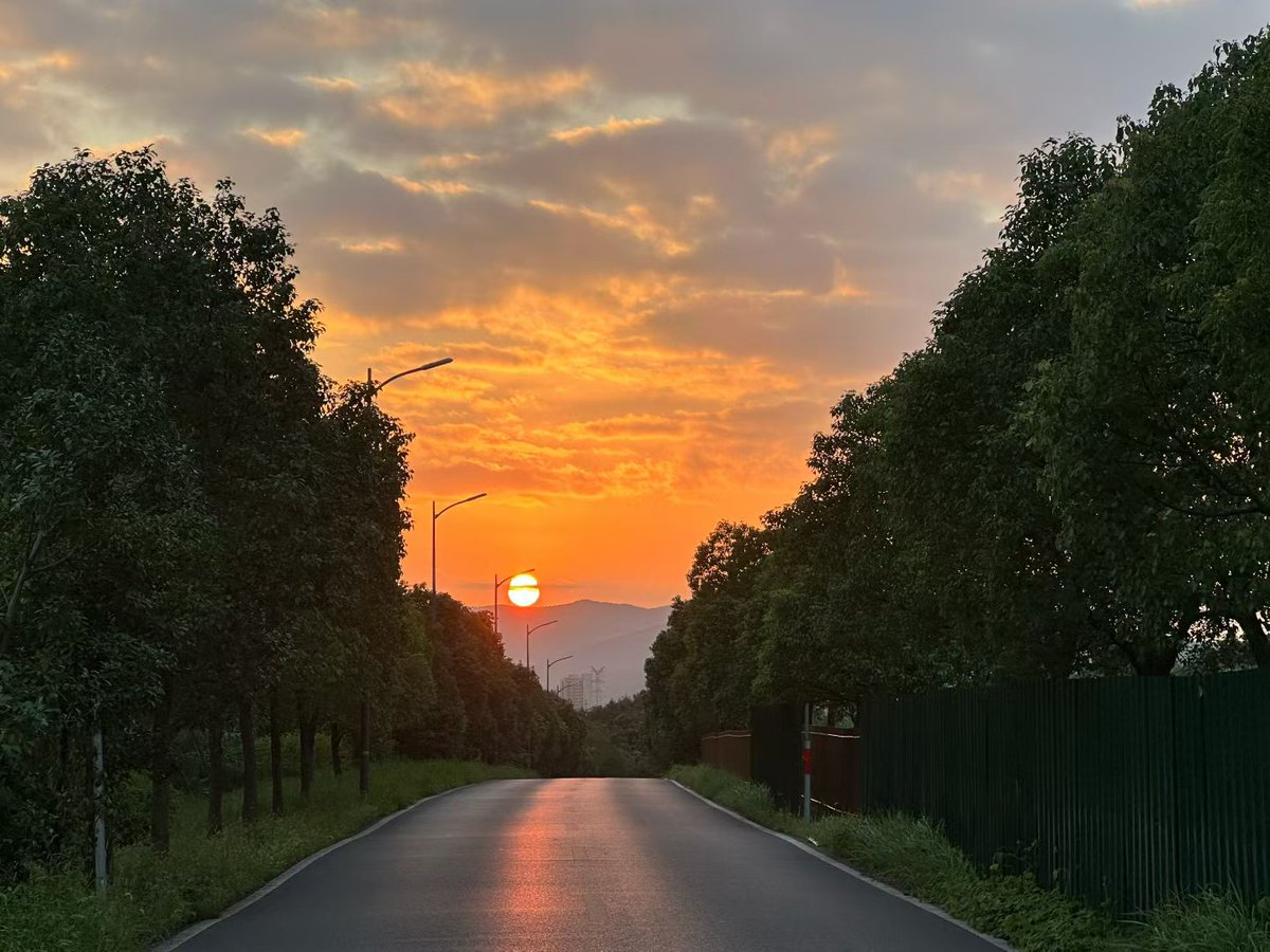 fossettevv's tweet image. 归途的晚霞