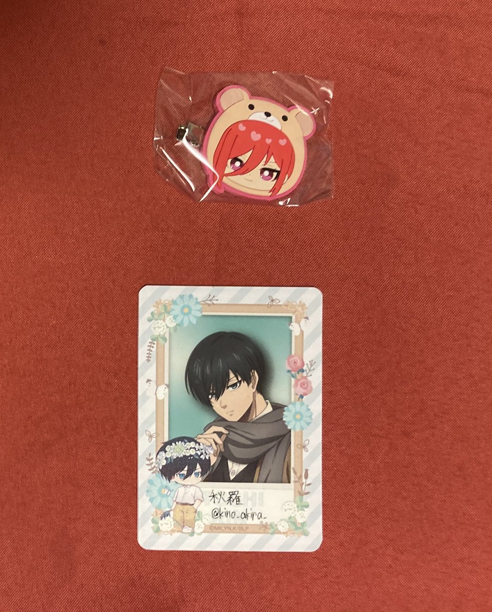 タクロー8888_5858_4588様 リクエスト 4点 まとめ商品 007/オクトパシー ラゲッジタグ | グローブ・トロッター（Globe