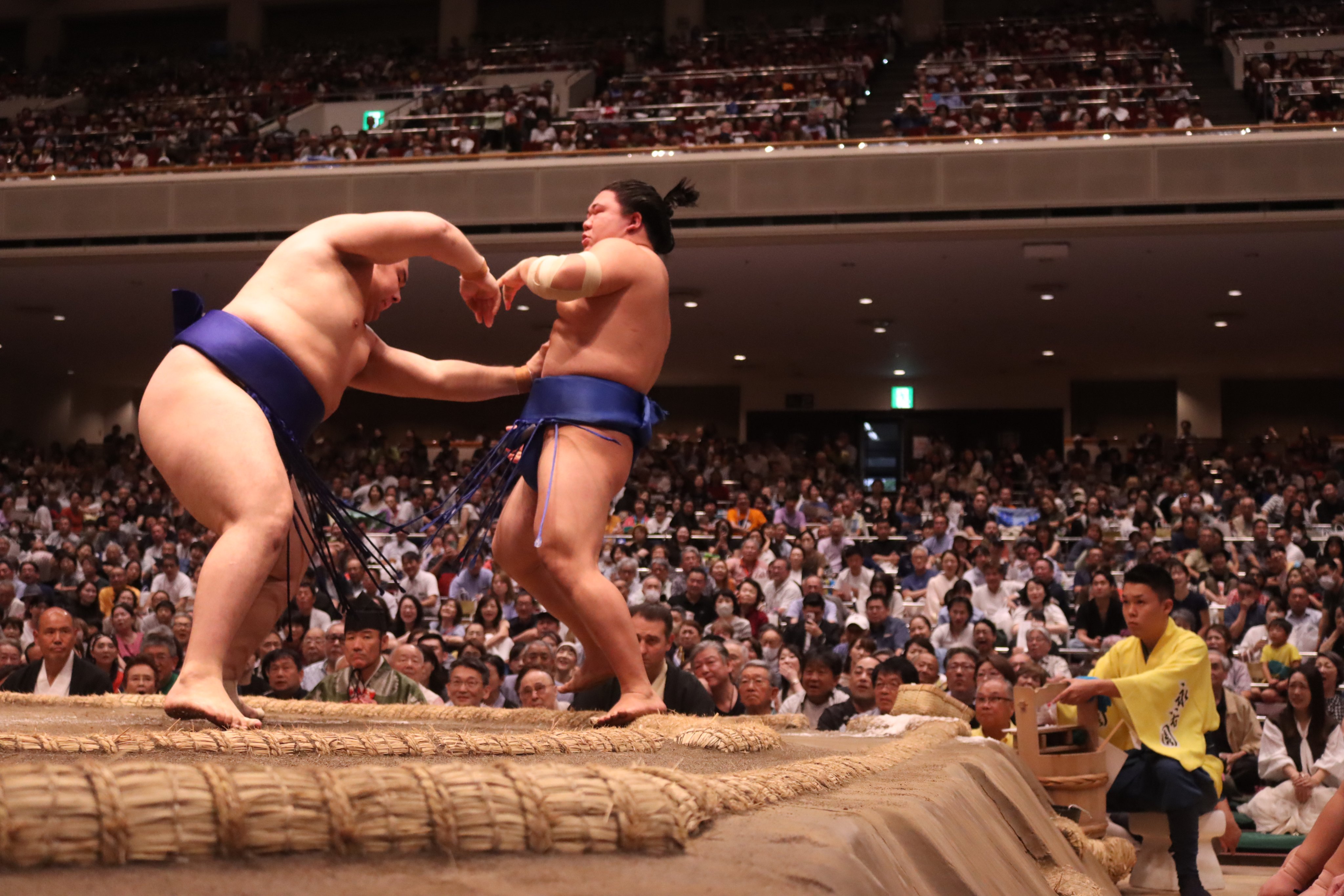 油絵　相撲　SUMO ヴィンテージ O!SUMO 〈ZINE〉 | SUMOTOMO