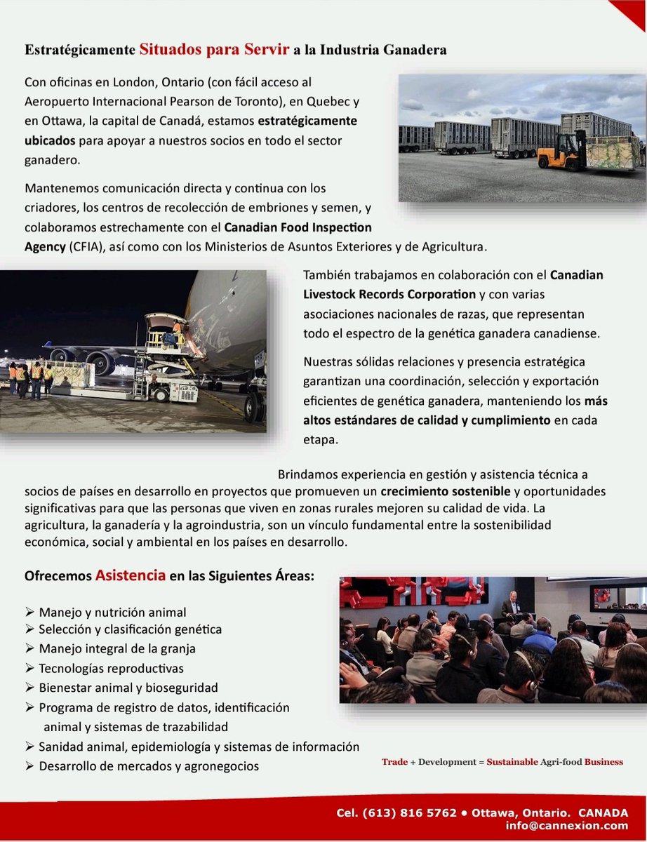 Los criadores 🇨🇦canadienses🇨🇦 son reconocidos mundialmente por tener un excelente ganado reproductor, y habilidades excepcionales en la cría y cuidado de sus animales

Criando Excelencia. Ahora Más Cerca de Usted!

Info@gencanada.com 👈