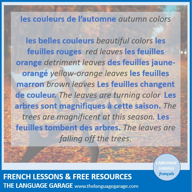 FrenchGarage's tweet photo. Les feuilles tombent des arbres. The leaves are falling off the trees. #French #vocabulary for #fall #autumn. #LearnFrench #languages. Click to learn more. https://t.co/syBKWwhHV5 https://t.co/PPGzwPJeBc