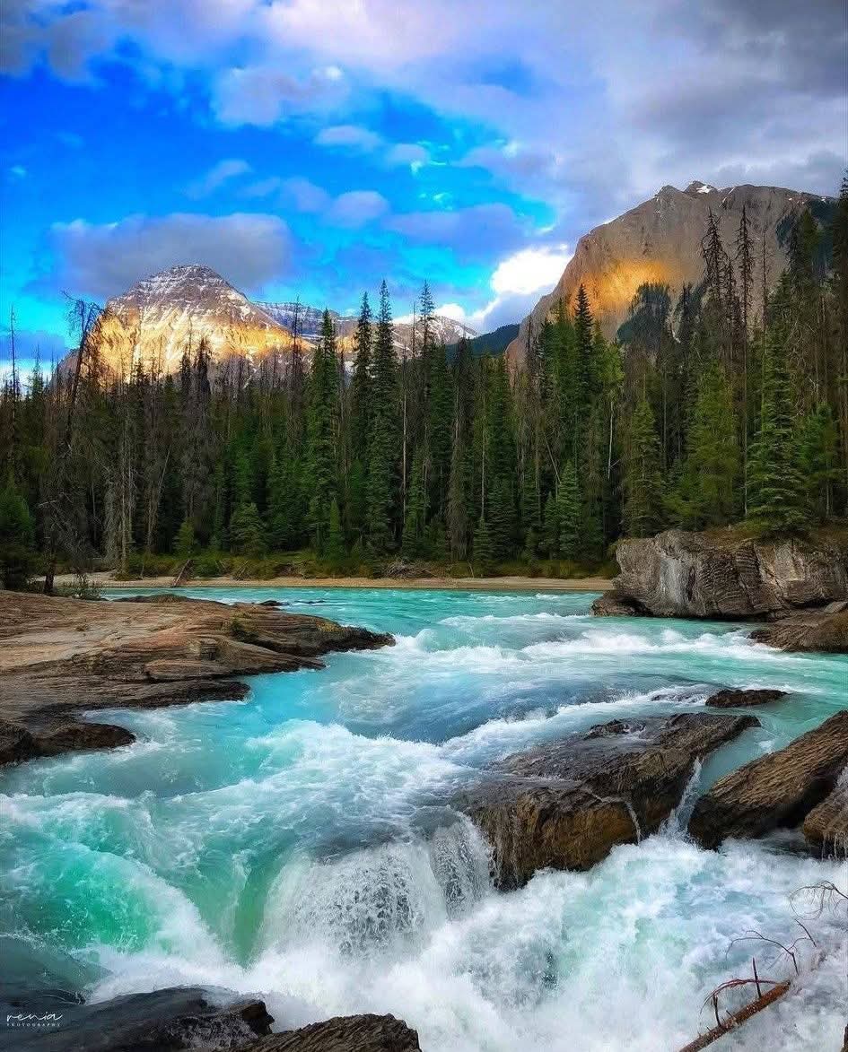 Out Door Nature (@magical_place2) on Twitter photo 