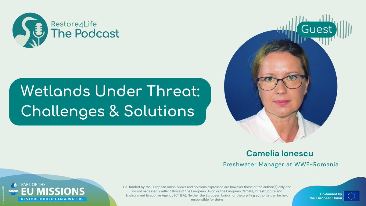 🎙️ In next week's episode of Restore4Life: 𝗧𝗵𝗲 𝗣𝗼𝗱𝗰𝗮𝘀𝘁, we are sitting down with Camelia Ionescu, Freshwater Manager at WWF-Romania to discuss challenges and solutions for restoring the Danube basin.

🔗 Learn more: restore4life.eu/restoring-rive…