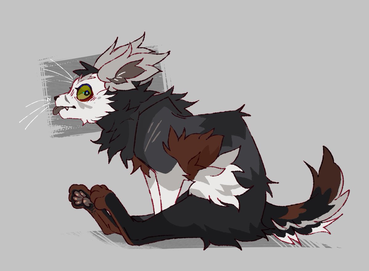 Owl_spark_'s tweet photo. why he sat like that https://t.co/OKv44INbwA