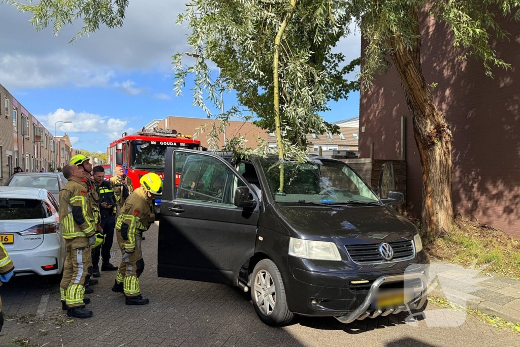 Tak door vooruit van bus in Gouda