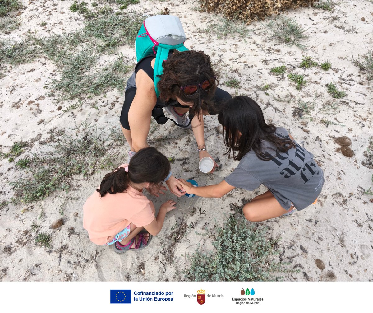 SalinasSPedroPR's tweet image. Ayer celebramos el #DíaInternacionalDeLaLimpiezaDeCostas con un taller de rastros marinos y una jornada de recogida de #Basuraleza junto al #ProyectoLIBERA

Gracias por cuidar las playas y #Biodiversidad de #SalinasSPedroPR ✨

#MochilaDeActividades #LIBERA1M2