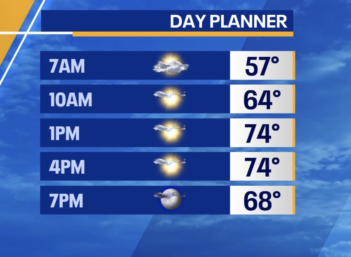 AudreyPuente tweet media