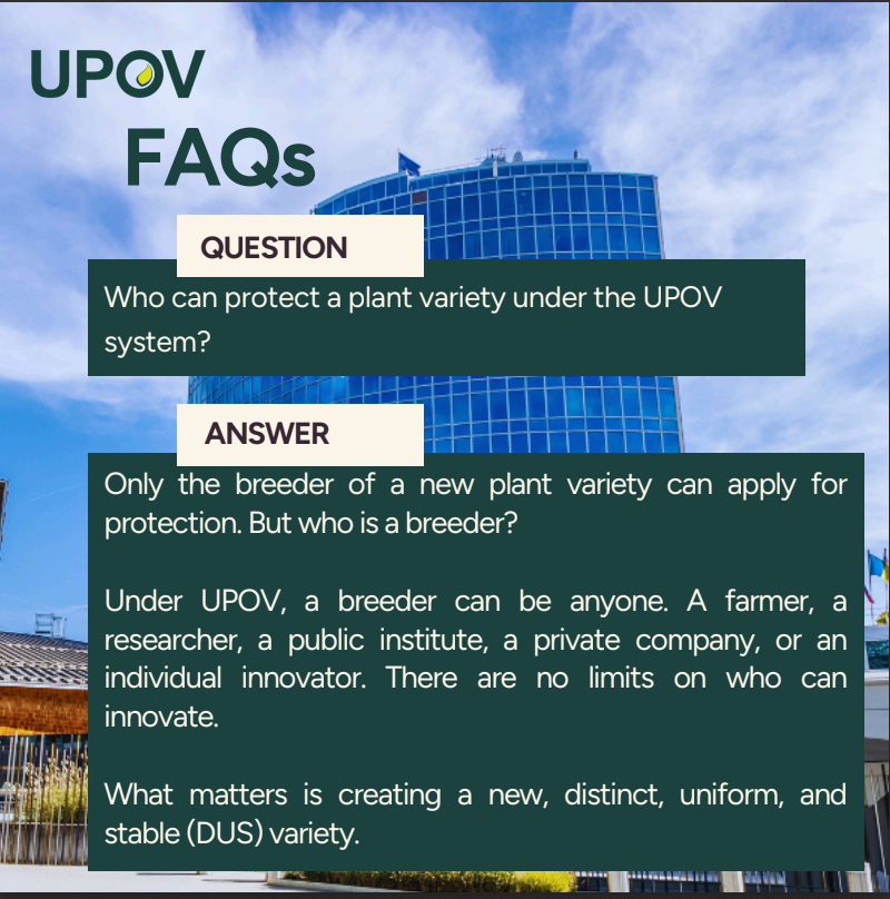UPOVint's tweet image. Curious minds, need clear answers. 

Click the link below for the answers to some of the most frequently asked questions UPOV gets asked! 

drive.google.com/file/d/1SKNJjb…

#FAQs #QnA #UPOV #NewPlantVarieties #PlantBreeding #ClimateChange #Sustainability #Agriculture