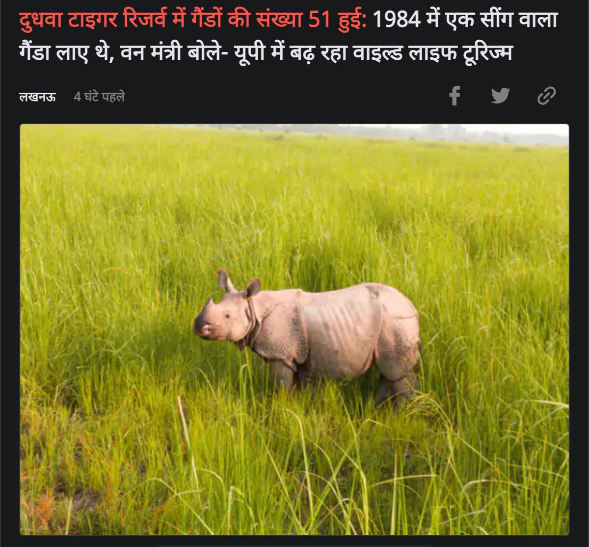 EcoTourismUP's tweet photo. विलुप्ति से शान तक! 

कभी उत्तर प्रदेश से विलुप्त हो चुके गैंडे, आज ईको-टूरिज़्म की पहचान बन गए हैं।
05 से शुरू हुई इनकी वंशवृद्धि 51 तक पहुँच चुकी है - दुधवा का बढ़ता गैंडा परिवार हर सैलानी का दिल जीत रहा है। https://t.co/1DVisGaPqB